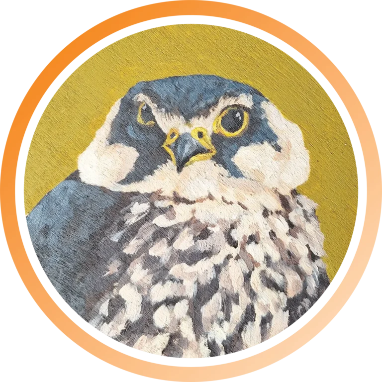 painting of a falcon